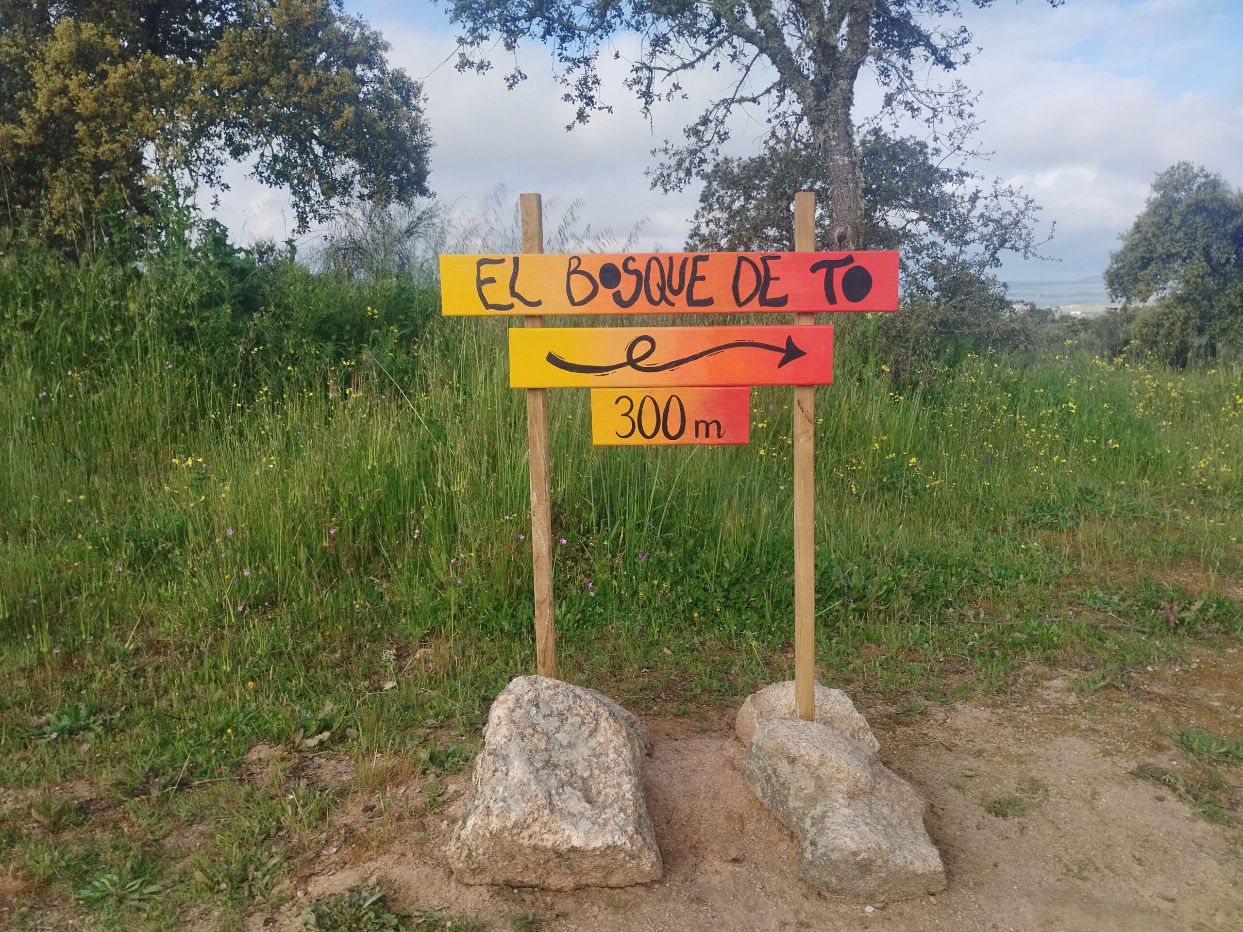 EL BOSQUE DE TO